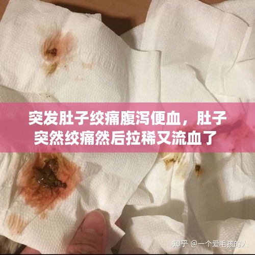 突發(fā)肚子絞痛腹瀉便血，肚子突然絞痛然后拉稀又流血了 