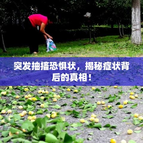 突發(fā)抽搐恐懼狀，揭秘癥狀背后的真相！