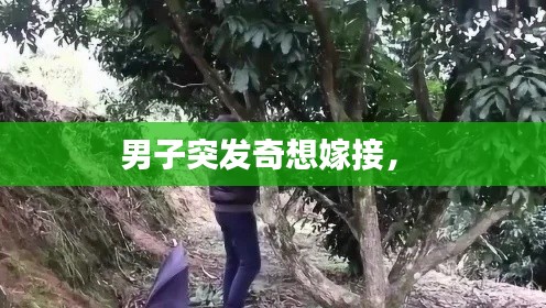 男子突發(fā)奇想嫁接， 