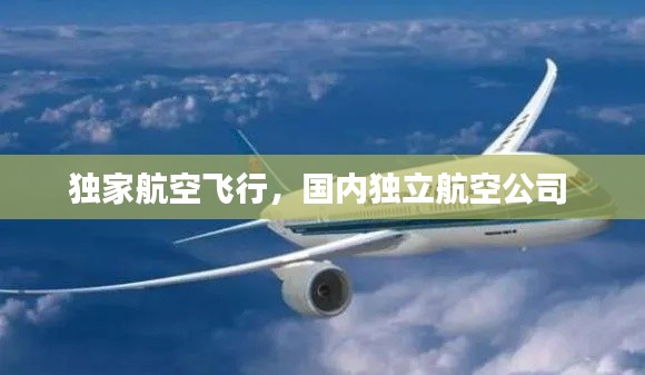 獨(dú)家航空飛行，國內(nèi)獨(dú)立航空公司 
