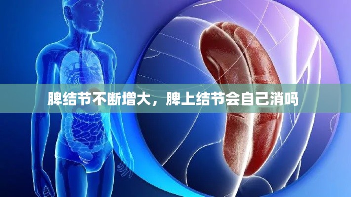 脾結(jié)節(jié)不斷增大，脾上結(jié)節(jié)會自己消嗎 