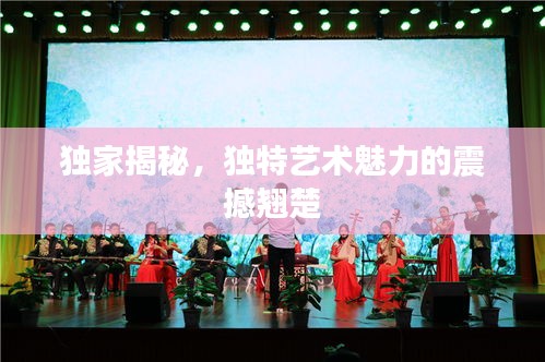 獨(dú)家揭秘，獨(dú)特藝術(shù)魅力的震撼翹楚