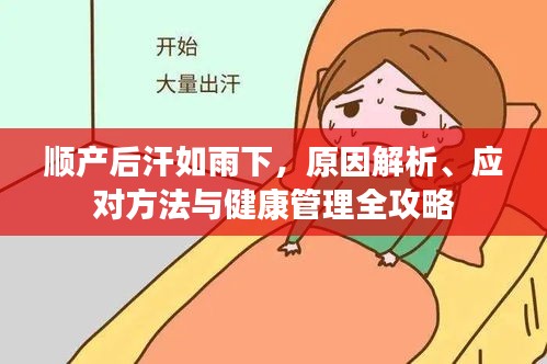 順產(chǎn)后汗如雨下，原因解析、應(yīng)對方法與健康管理全攻略