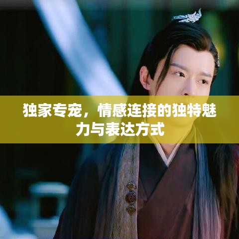 獨家專寵，情感連接的獨特魅力與表達方式