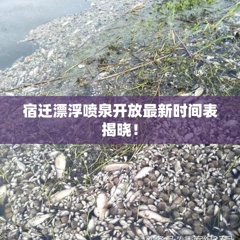 宿遷漂浮噴泉開放最新時間表揭曉！