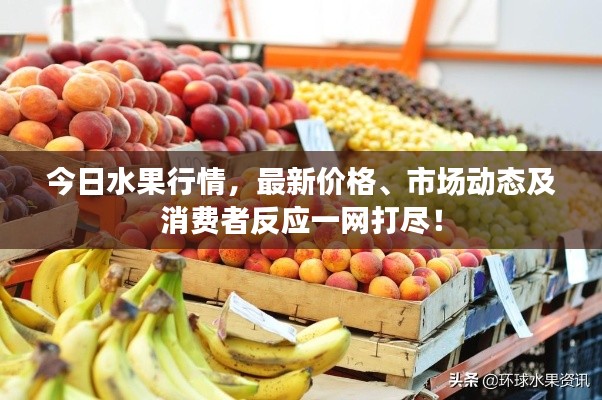 今日水果行情，最新價格、市場動態(tài)及消費者反應(yīng)一網(wǎng)打盡！