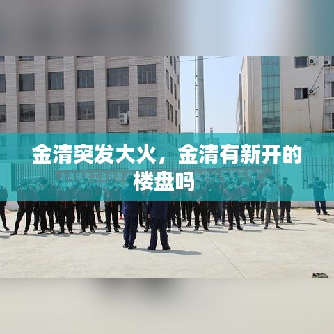 金清突發(fā)大火，金清有新開的樓盤嗎 