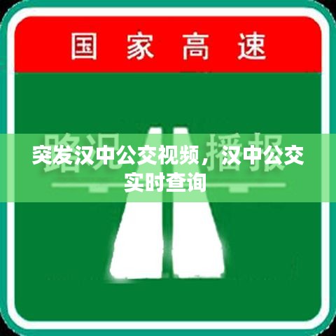 突發(fā)漢中公交視頻，漢中公交實(shí)時(shí)查詢 