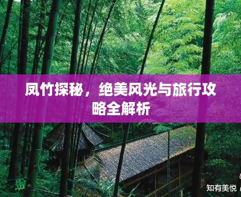 鳳竹探秘，絕美風(fēng)光與旅行攻略全解析