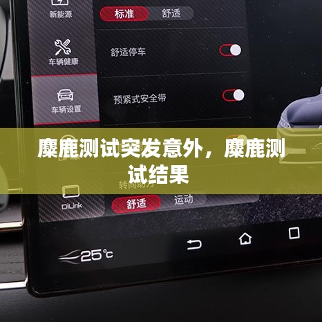 麋鹿測試突發(fā)意外，麋鹿測試結(jié)果 