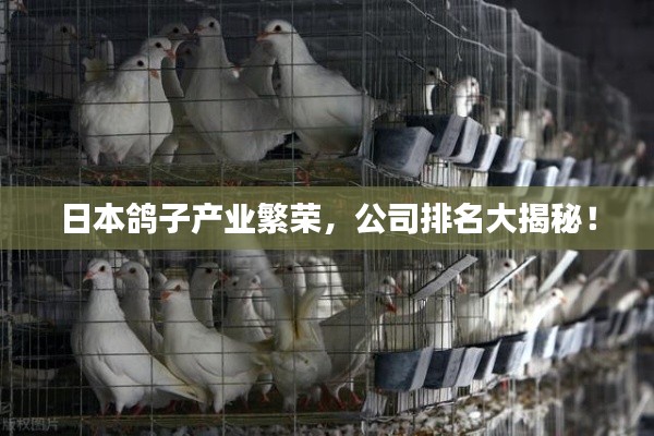 日本鴿子產(chǎn)業(yè)繁榮，公司排名大揭秘！