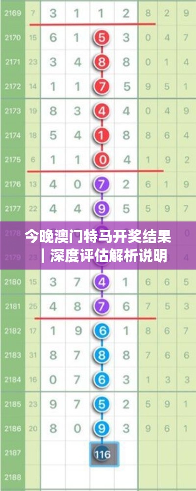 今晚澳門特馬開獎結果｜深度評估解析說明