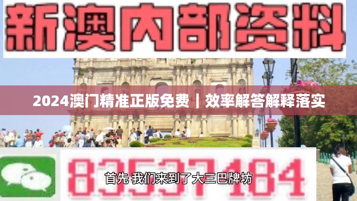 2024澳門精準(zhǔn)正版免費｜效率解答解釋落實