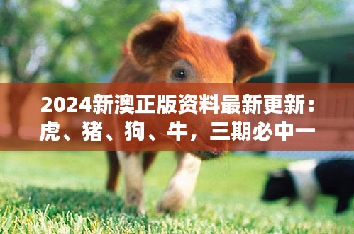 2024新澳正版資料最新更新：虎、豬、狗、牛，三期必中一期