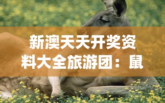 新澳天天開獎資料大全旅游團：鼠、雞、猴、狗，免費資料