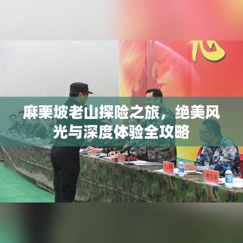 靡顏膩理 第2頁