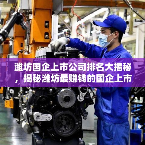 濰坊國企上市公司排名大揭秘，揭秘濰坊最賺錢的國企上市公司是哪家？