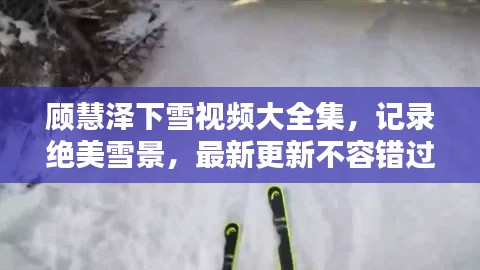 顧慧澤下雪視頻大全集，記錄絕美雪景，最新更新不容錯(cuò)過！