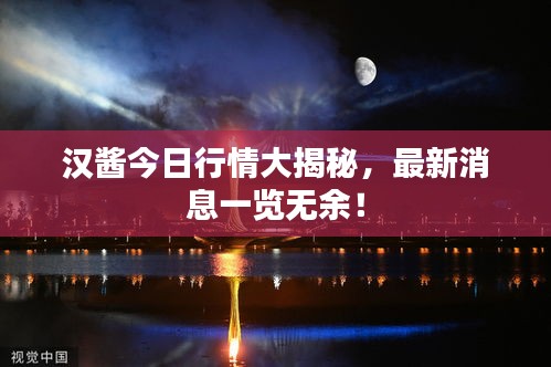 漢醬今日行情大揭秘，最新消息一覽無余！