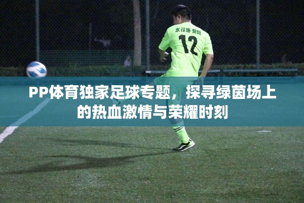 PP體育獨家足球?qū)ｎ}，探尋綠茵場上的熱血激情與榮耀時刻