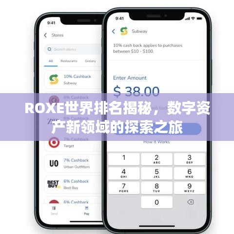ROXE世界排名揭秘，數(shù)字資產(chǎn)新領(lǐng)域的探索之旅
