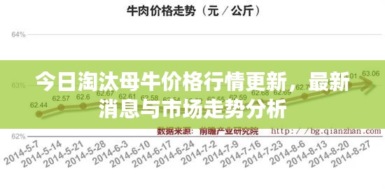 今日淘汰母牛價(jià)格行情更新，最新消息與市場(chǎng)走勢(shì)分析