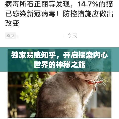 獨家易感知乎，開啟探索內(nèi)心世界的神秘之旅