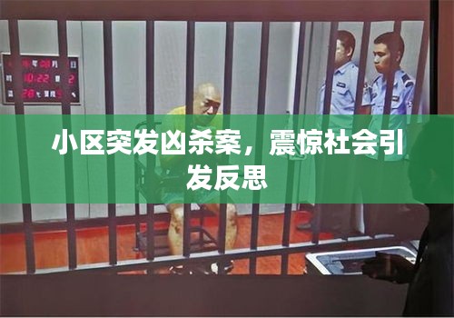 小區(qū)突發(fā)兇殺案，震驚社會引發(fā)反思