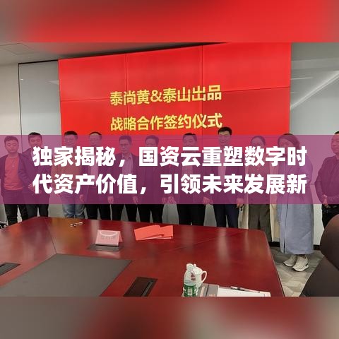獨(dú)家揭秘，國(guó)資云重塑數(shù)字時(shí)代資產(chǎn)價(jià)值，引領(lǐng)未來發(fā)展新篇章