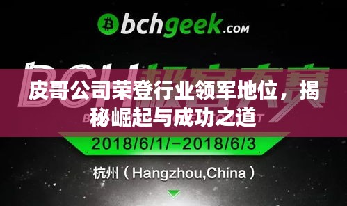 皮哥公司榮登行業(yè)領(lǐng)軍地位，揭秘崛起與成功之道