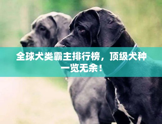 全球犬類霸主排行榜，頂級犬種一覽無余！