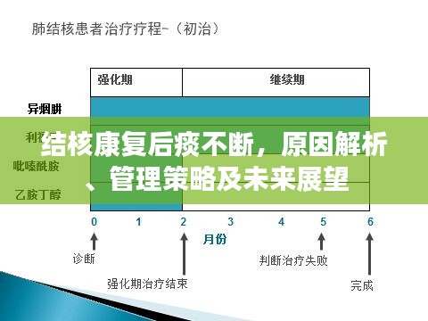 結(jié)核康復(fù)后痰不斷，原因解析、管理策略及未來(lái)展望