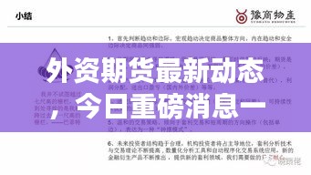 外資期貨最新動態(tài)，今日重磅消息一網(wǎng)打盡！