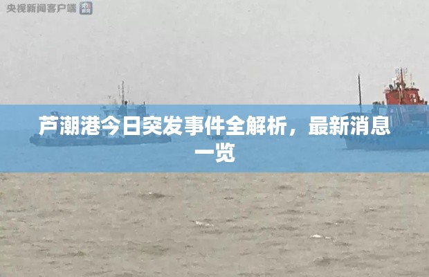 蘆潮港今日突發(fā)事件全解析，最新消息一覽