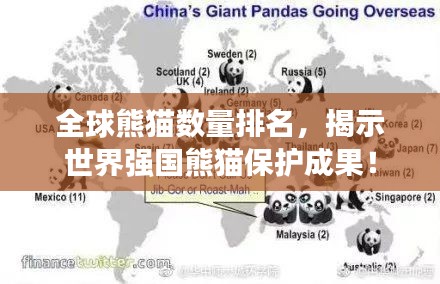 全球熊貓數(shù)量排名，揭示世界強國熊貓保護成果！