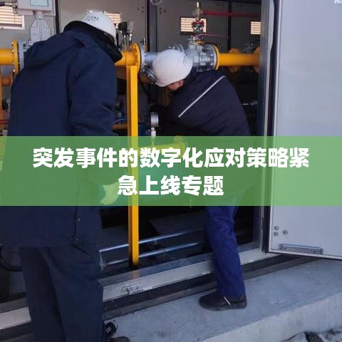 突發(fā)事件的數(shù)字化應(yīng)對(duì)策略緊急上線(xiàn)專(zhuān)題