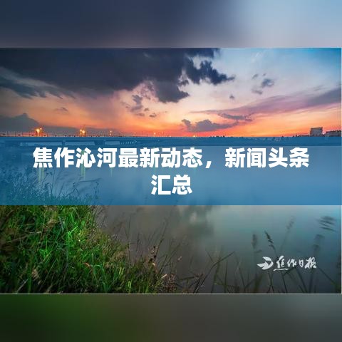 焦作沁河最新動態(tài)，新聞頭條匯總