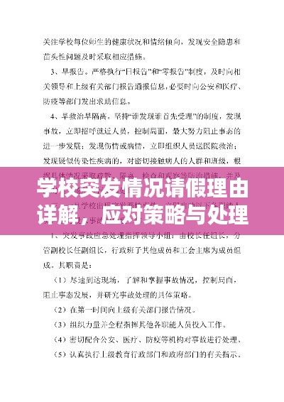 學(xué)校突發(fā)情況請(qǐng)假理由詳解，應(yīng)對(duì)策略與處理之道