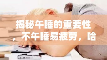 揭秘午睡的重要性，不午睡易疲勞，哈欠連連來襲！