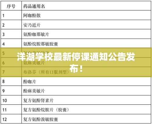 洋湖學(xué)校最新停課通知公告發(fā)布！