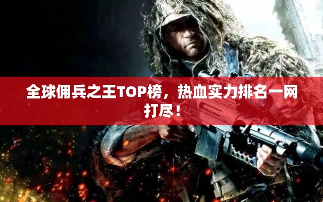 全球傭兵之王TOP榜，熱血實力排名一網(wǎng)打盡！