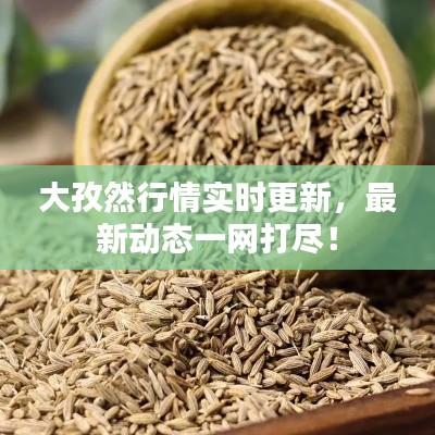 大孜然行情實時更新，最新動態(tài)一網(wǎng)打盡！
