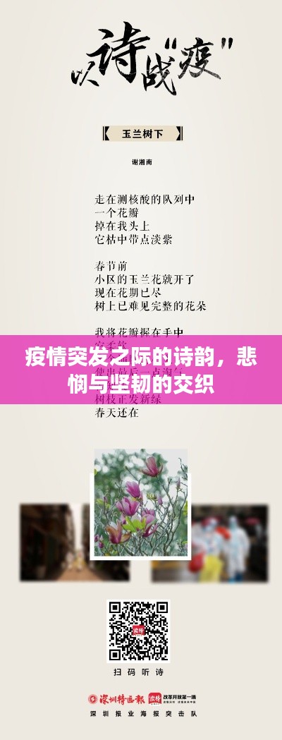 疫情突發(fā)之際的詩韻，悲憫與堅韌的交織
