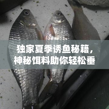 獨(dú)家夏季誘魚秘籍，神秘餌料助你輕松垂釣！