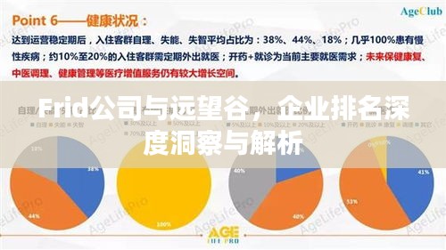 Frid公司與遠(yuǎn)望谷，企業(yè)排名深度洞察與解析