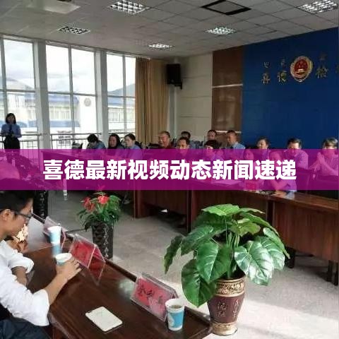 喜德最新視頻動(dòng)態(tài)新聞速遞