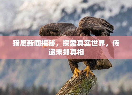 獵鷹新聞揭秘，探索真實(shí)世界，傳遞未知真相