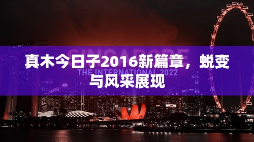 真木今日子2016新篇章，蛻變與風(fēng)采展現(xiàn)