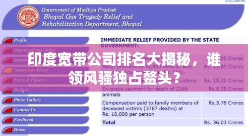 印度寬帶公司排名大揭秘，誰領(lǐng)風(fēng)騷獨(dú)占鰲頭？
