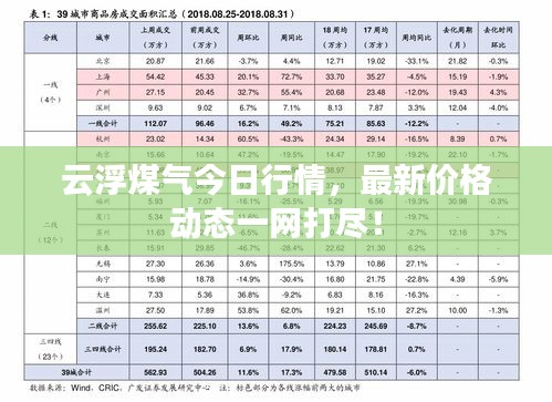 云浮煤氣今日行情，最新價格動態(tài)一網(wǎng)打盡！